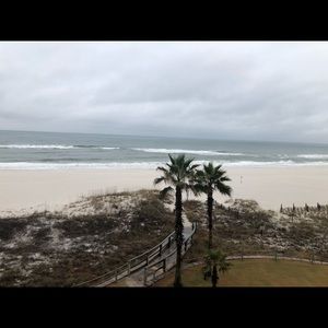 Meet your Posher, Tressa